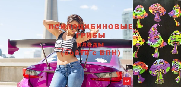 дурь Надым