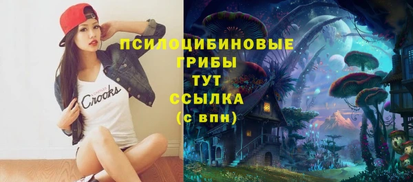 дурь Надым